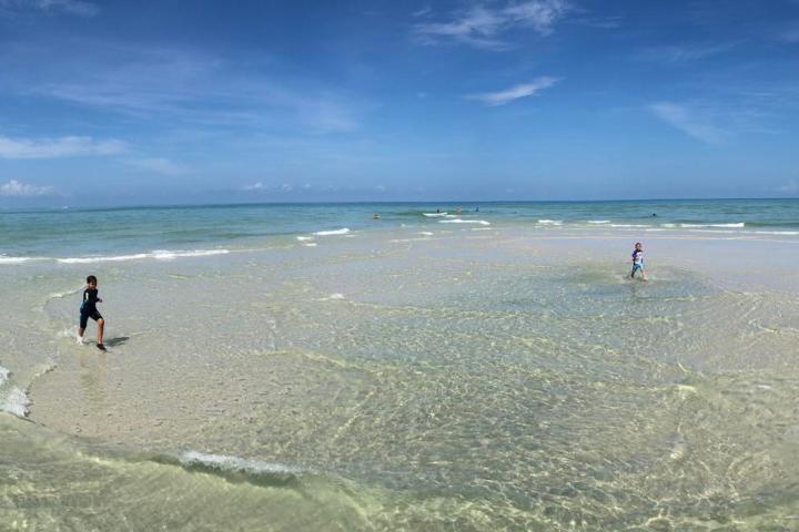 a group of people on a beach next to the ocean