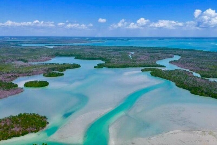 a large body of water